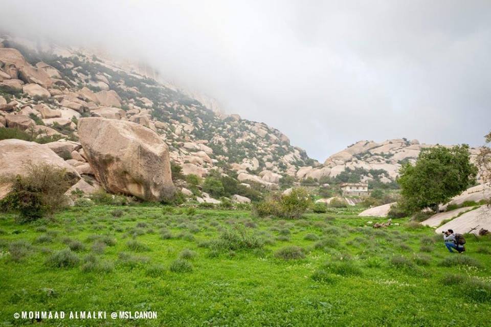 48384450_207117186834348_2678847836400910336_n