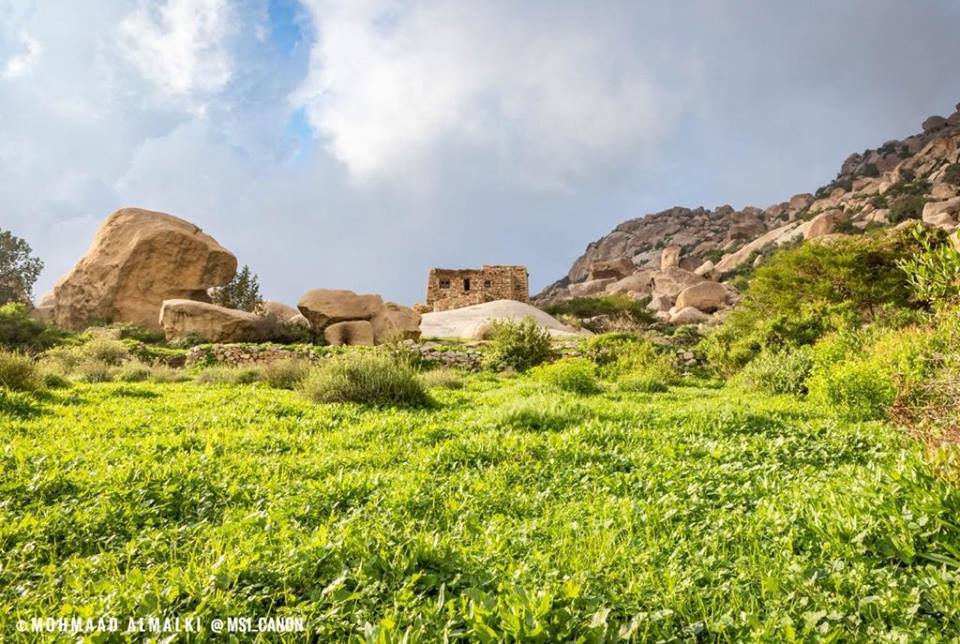 48386307_2142490435771512_2156240128538836992_n