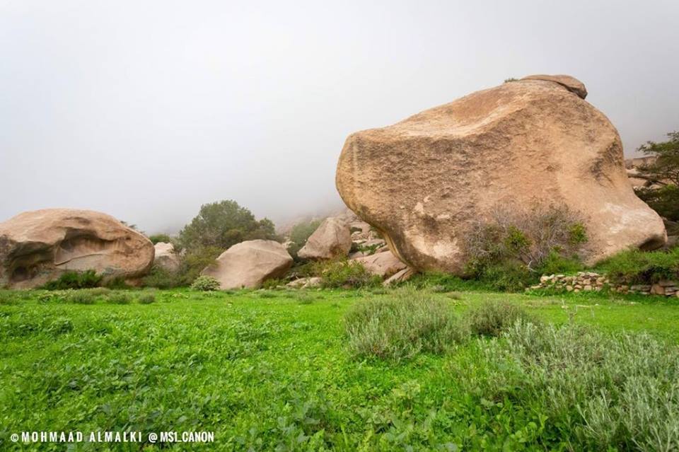 48397592_352257578924840_8018151617427668992_n