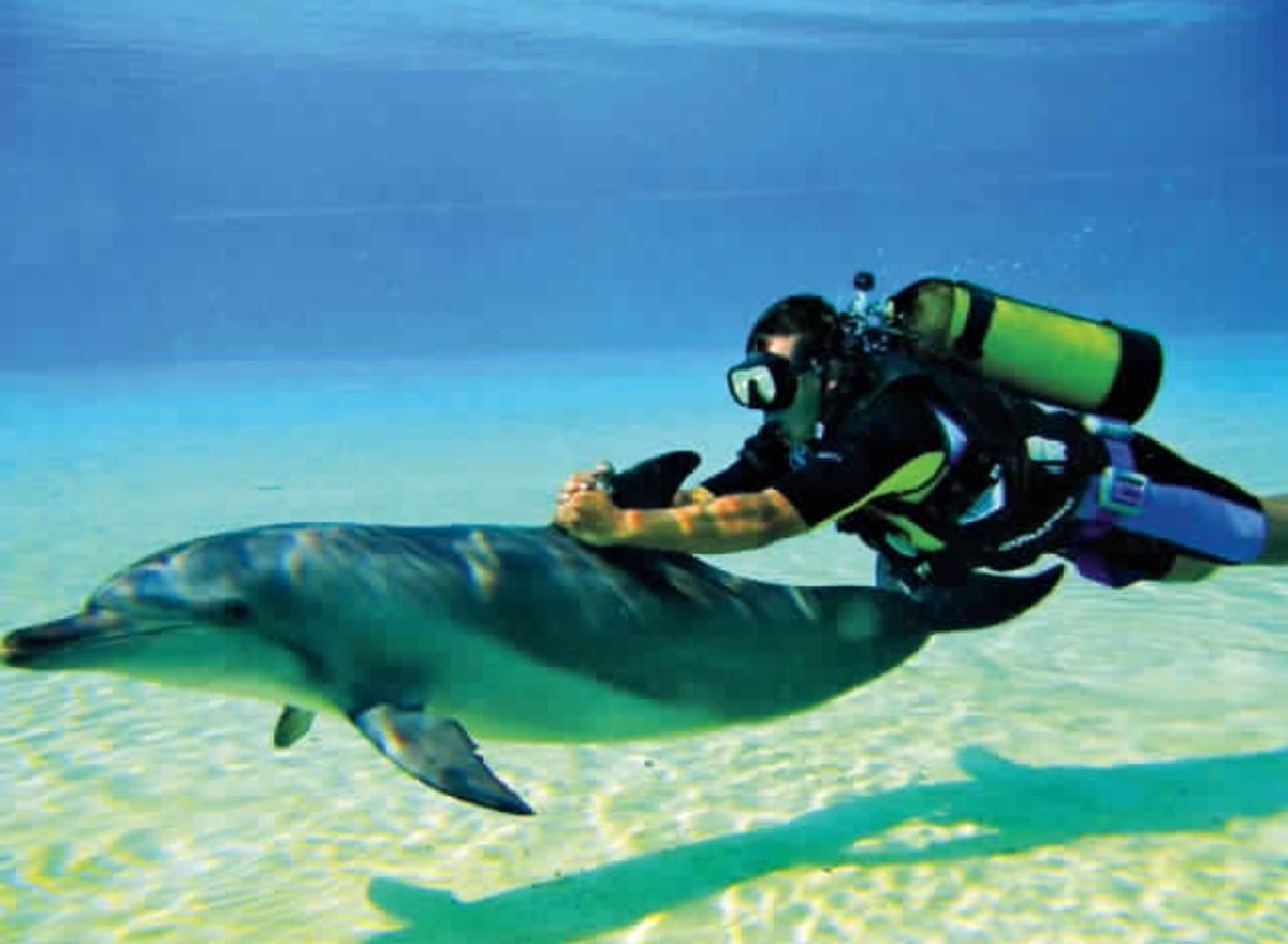 121-200726-tourism-dubai-entertainment-winter-8