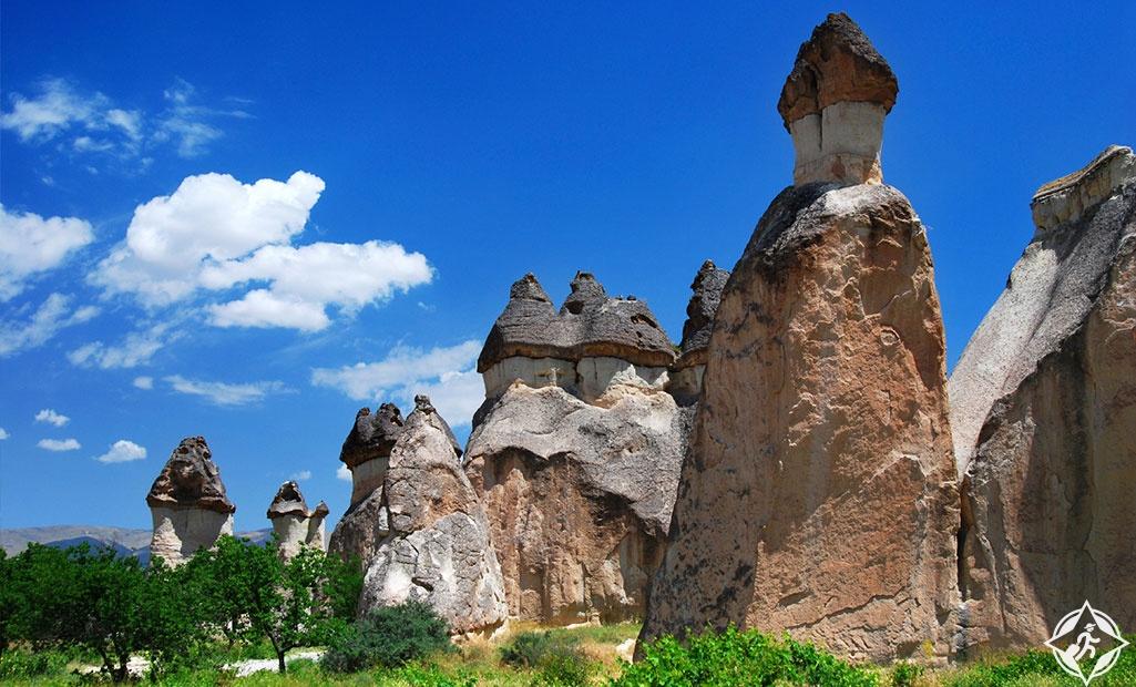 thumbnail (10) - Copy