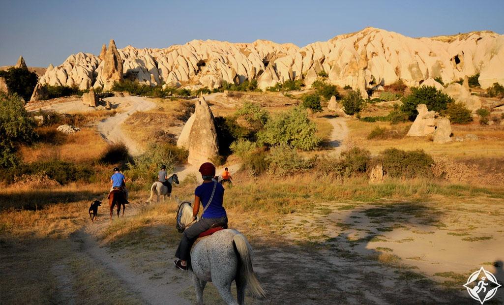 thumbnail (9) - Copy