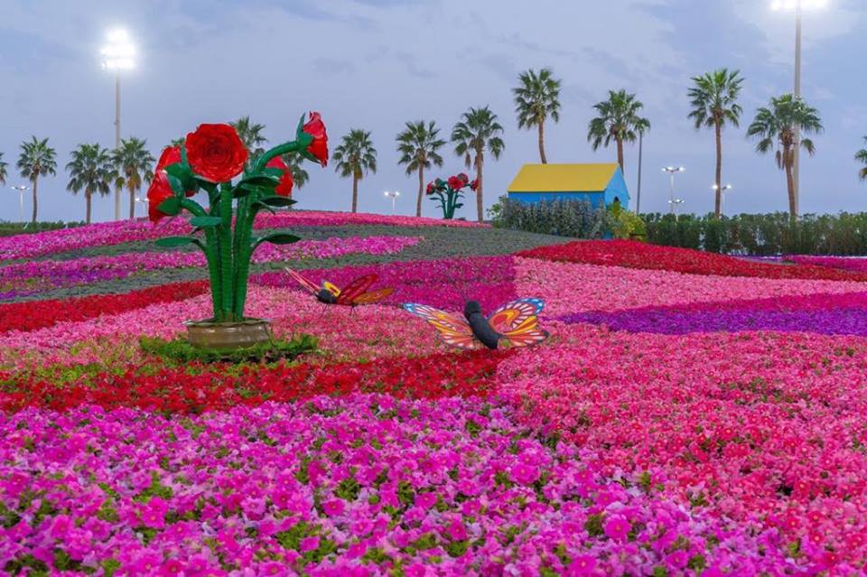 53173231_339530243324503_8292788538051657728_n