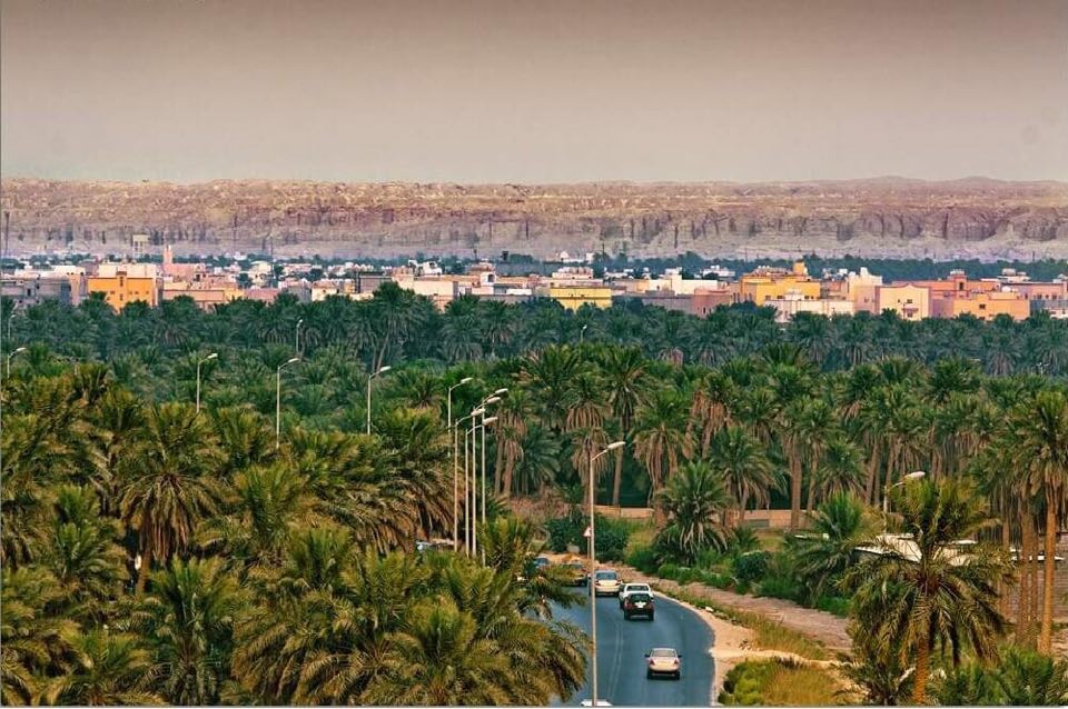 53292233_559762271183417_335413387921981440_n