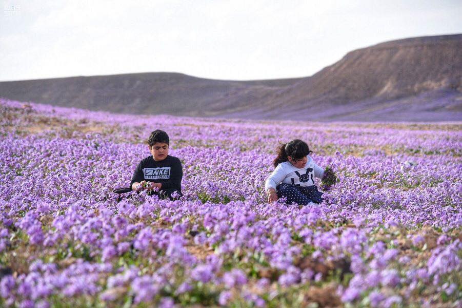 53292245_1941405639316315_5900135396448141312_n