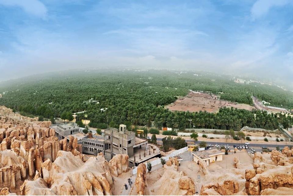 53525892_655373578215510_6123582547491291136_n