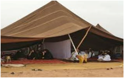 53761072_446796082526888_7961428259227303936_n