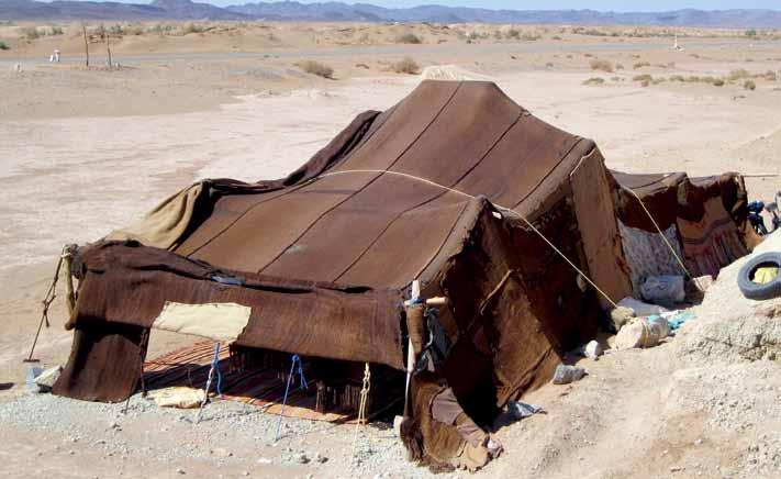 54432562_387009822144976_1386316899419160576_n