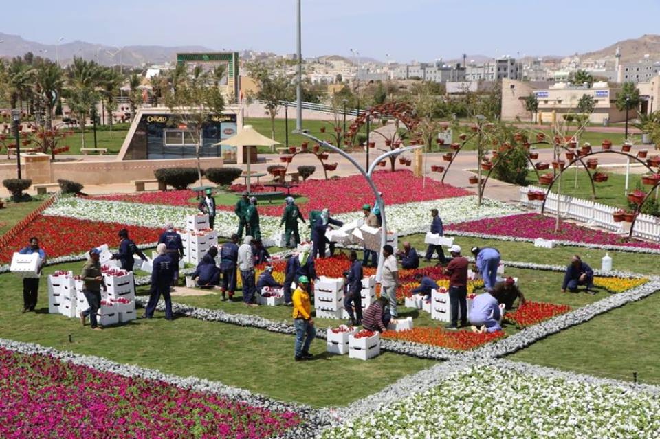 54462505_342769223111987_8698665442899656704_n