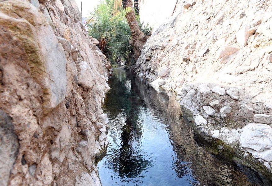 54514286_473720619831897_7569355688506294272_n