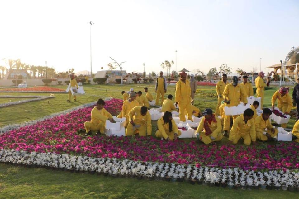 54800238_703195483429287_6149600591787065344_n