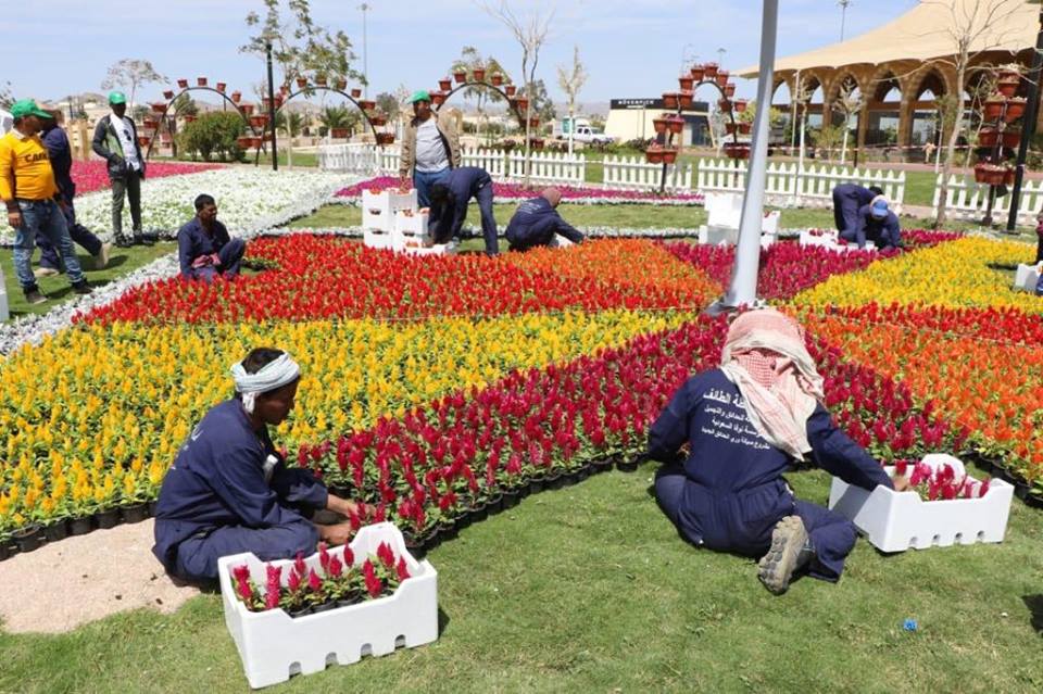 55244574_798351247208269_2059734030168883200_n