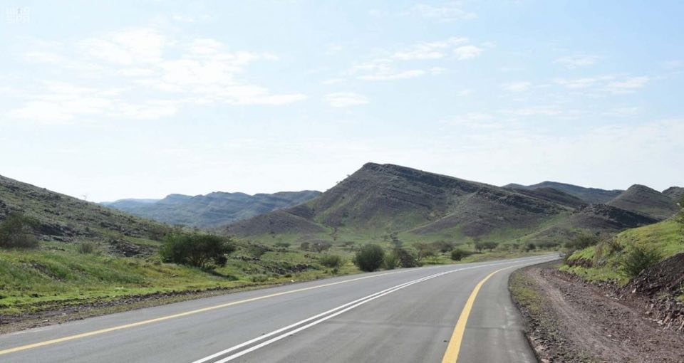 55453650_392306468228836_2656705957140103168_n