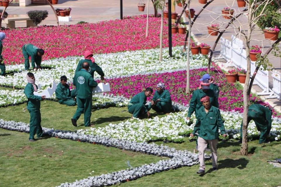 55551868_422331638576372_2946343570736414720_n