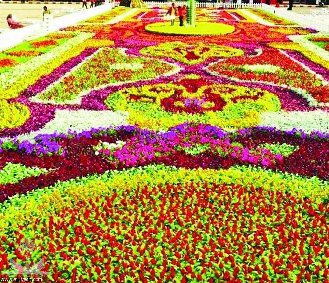 19847480-f236-4e4e-83ec-a9175b37fd1a