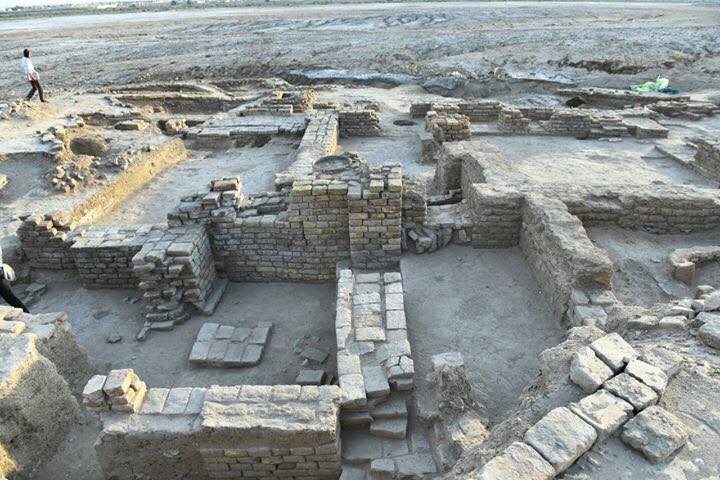 55776273_394310317967478_1429767210947051520_n