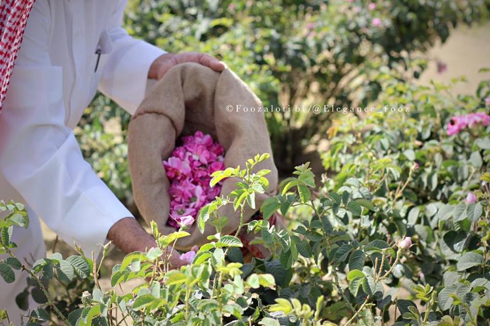 56119940_375762606363063_2256054597267226624_n