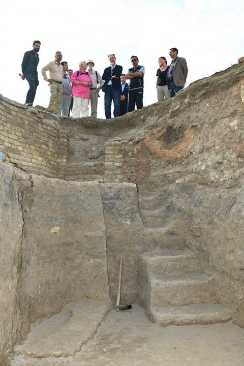 56201076_533192473876715_3859741157336547328_n