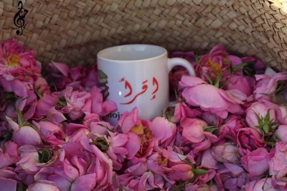 56384089_321556635210900_6496598610312953856_n