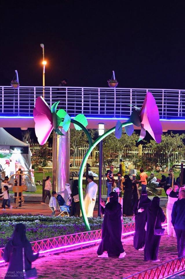 56757520_320875525281072_5969821373969727488_n