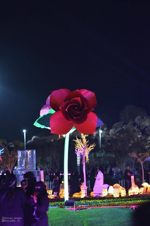 56835493_266247157592933_2546403272764162048_n