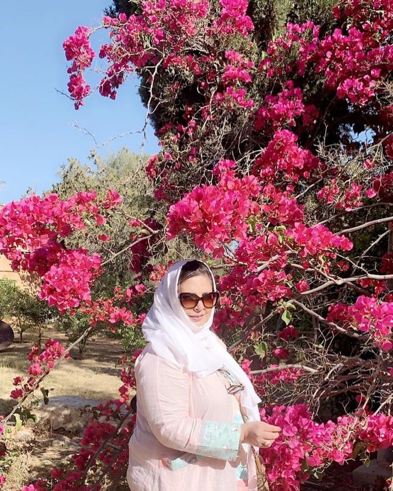 63ab5a1d-2e70-4fec-b856-e60b7310129a