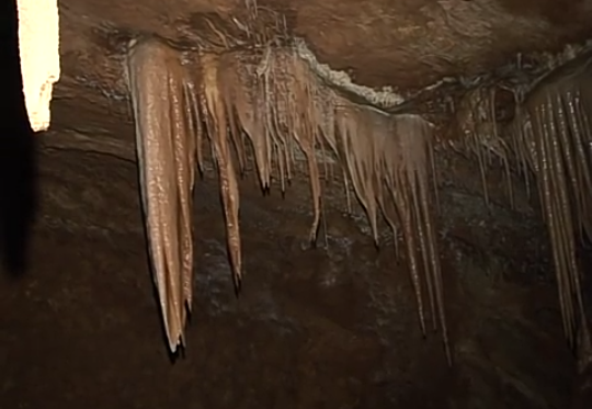 57253398_342201586654589_1988348456778858496_n