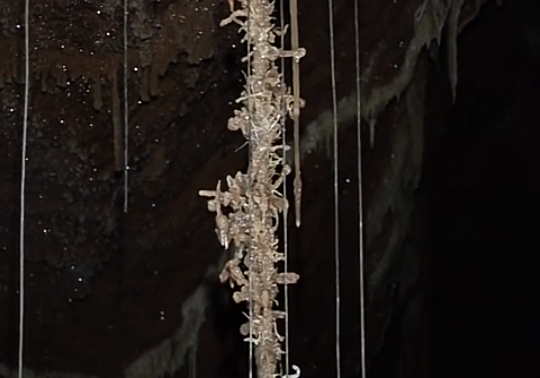 57364749_911633722561746_6025571002954547200_n