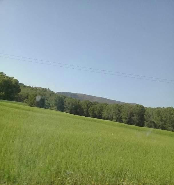 58682373_486079925467766_4722743431636451328_n