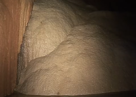 58707987_447990579281773_3290156432925655040_n