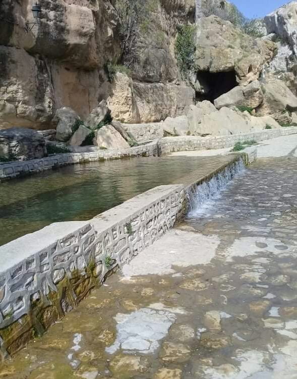 58754965_361037967870349_5603905351649853440_n