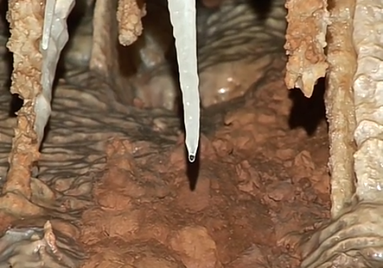 58793273_611264022723489_1981375074862628864_n