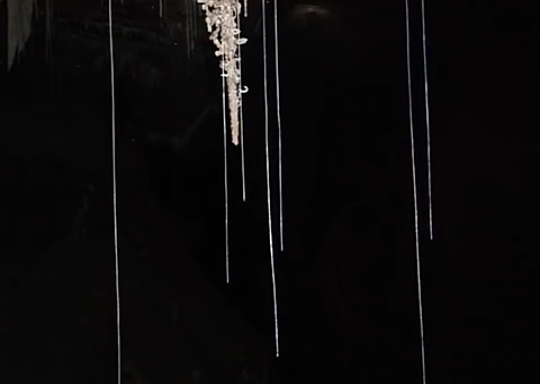 58809840_833255890374989_1655288418877308928_n