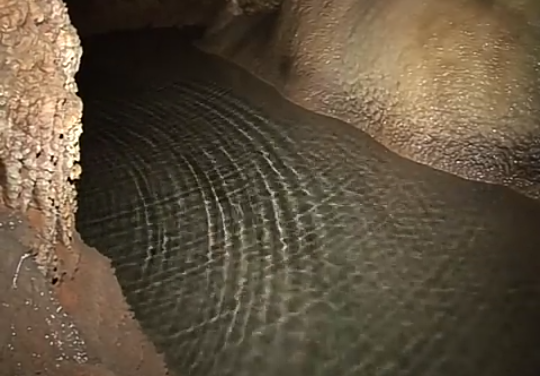 58883006_526793167850270_3876514147088728064_n