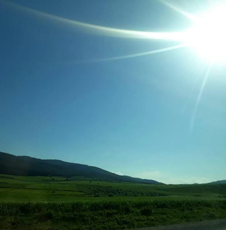 59106131_378198802782078_5103773083093696512_n