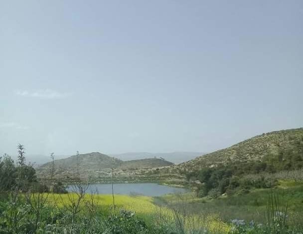 59144718_358377041449357_5523580065826209792_n