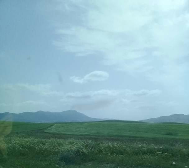 59285820_2248999741846675_5573217694355816448_n