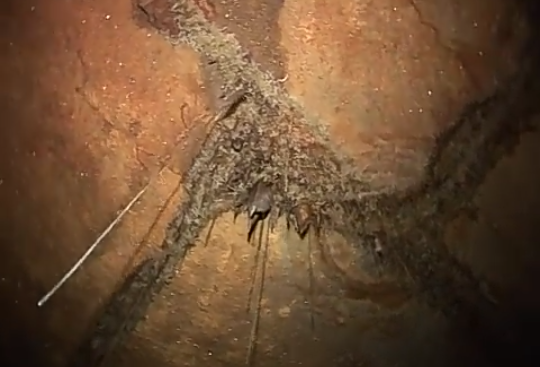 59285870_278810879730808_7662597238069133312_n