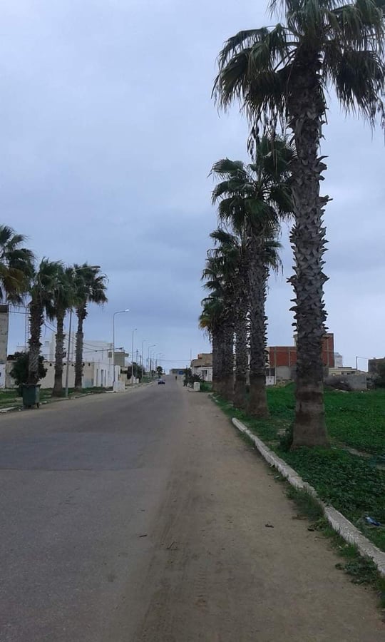 59305862_440173343415339_3178121687023484928_n