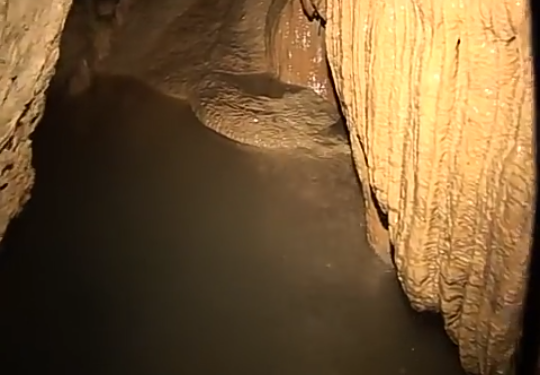 59321424_354572378742910_4152521175165042688_n