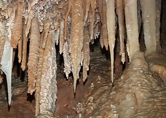 59352503_2130428183713726_4350881563966177280_n