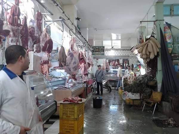 59401777_463978441040612_355710149232427008_n