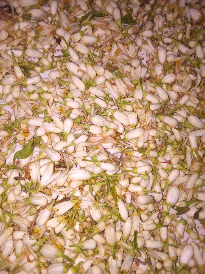 59414829_370172380266689_3397067798239772672_n