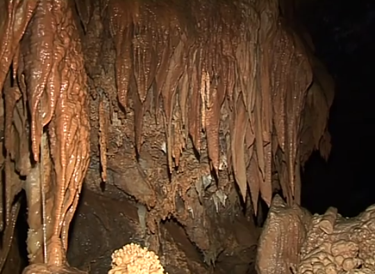 59420367_331825054082000_4661237206445195264_n