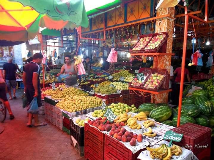 59448392_1193932584127200_8223155014965657600_n