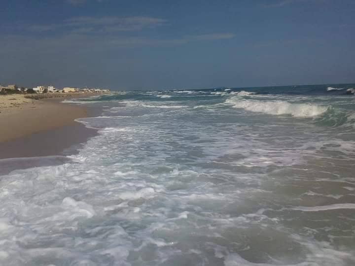 59519761_834645880202865_6473507212567248896_n