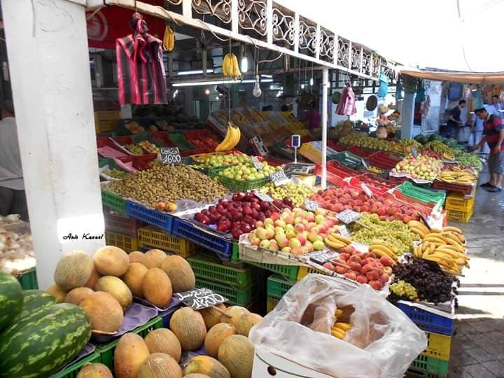 59551758_2482060265414482_4853642434111864832_n