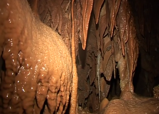 59596945_358773194763468_5620044146531106816_n