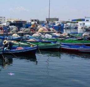 60034668_2328957430680173_3168375036134293504_n