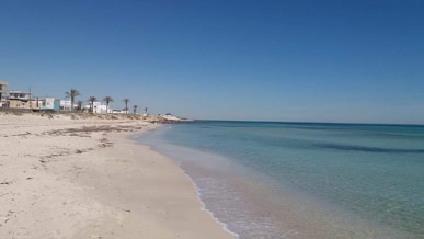 60273139_837079926668223_1744385844690550784_n